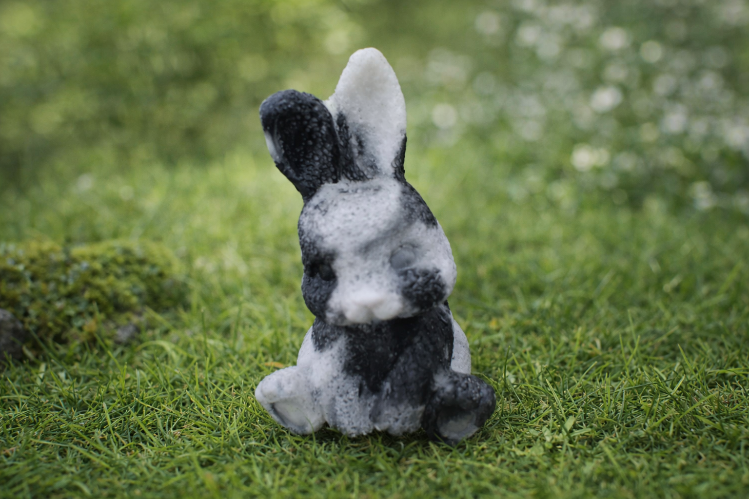 Lapin noir et blanc